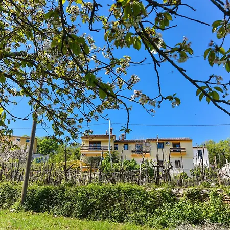 Casa Andrea Tatil Evi