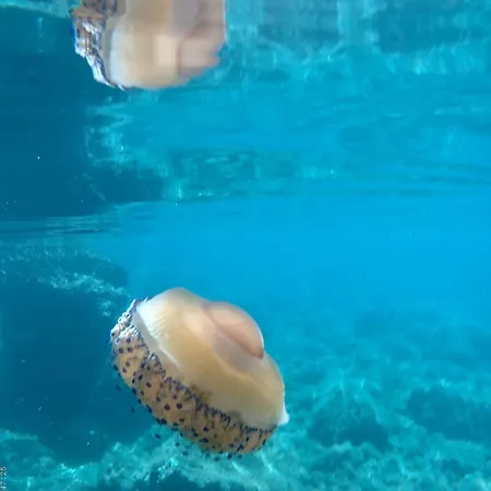 Holiday home Casa Andrea *