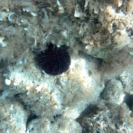 Casa Andrea Holiday home *