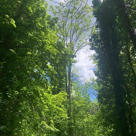 Casa Andrea Holiday home *