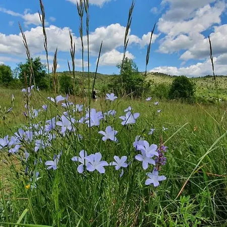 Casa Andrea Moscenicka Draga