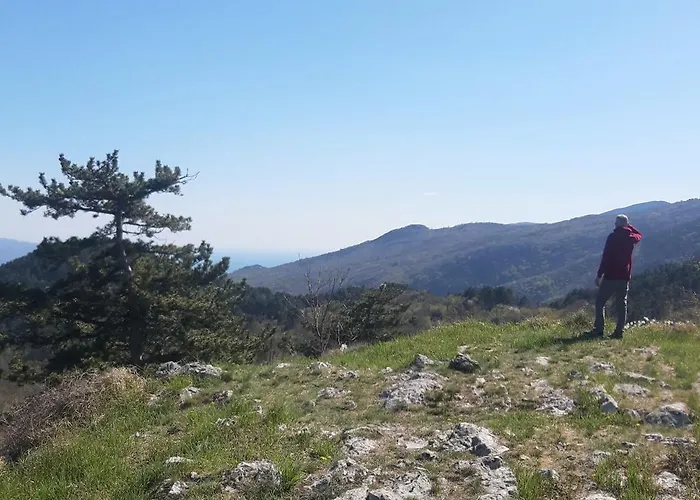 Casa Andrea * Mošćenička Draga