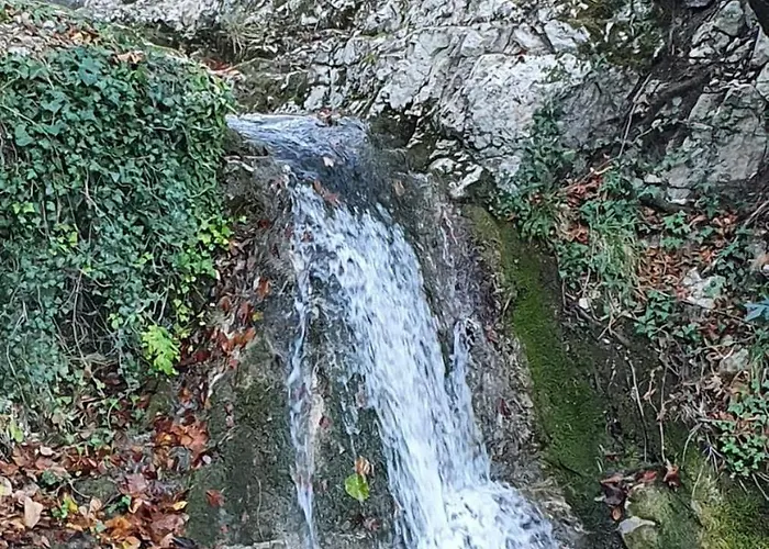 Casa vacanze Casa Andrea